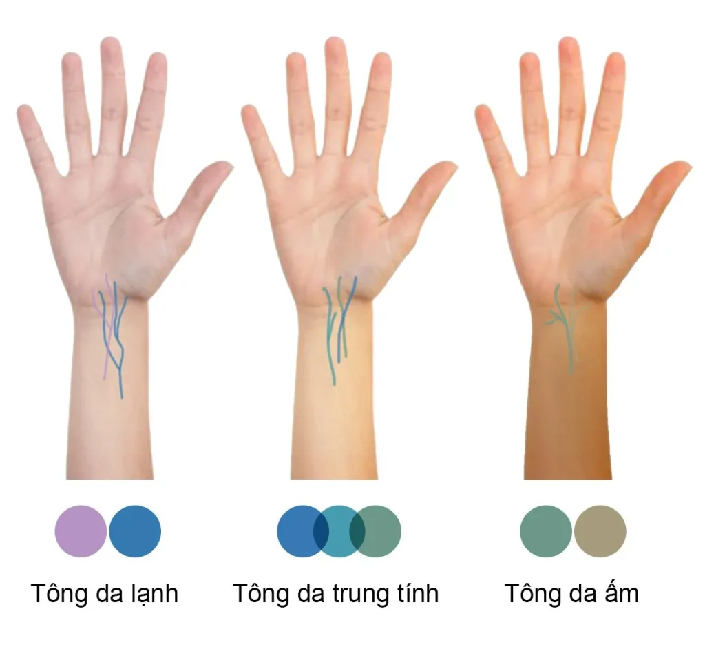 "Giải Mã" Các Tông Màu Da Phổ Biến